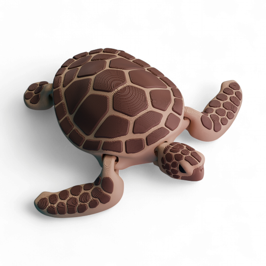Tortuga Marina Articulada