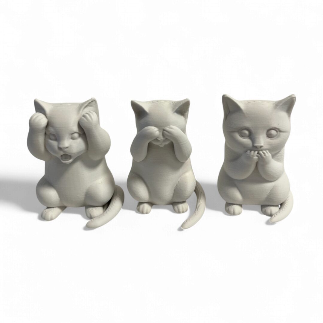 Set de Gatitos Sabios