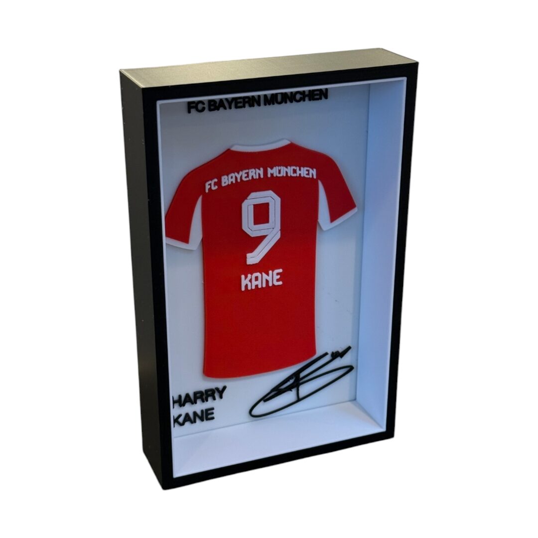 Cuadro Harry Kane Bayern München